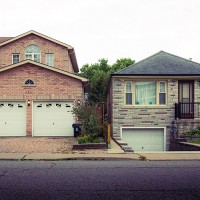 Have Naomi's neighbors noticed more dogs in the neighborhood lately?