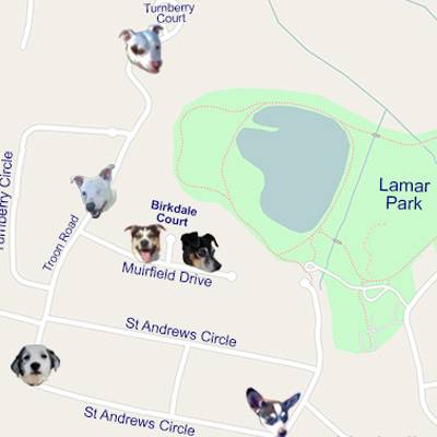 Missing dogs map