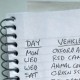 Miss Zina's list of vehicles