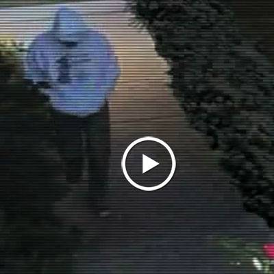 The Youngs’ security video
